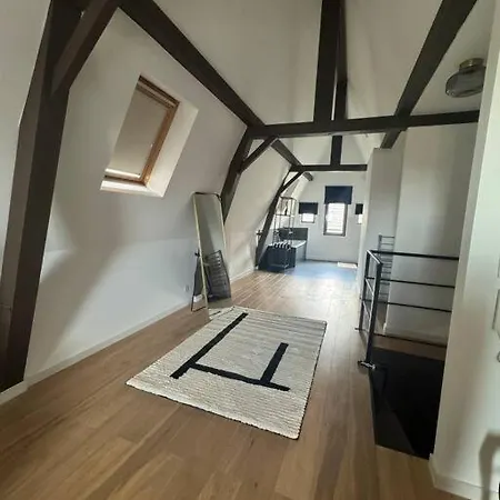 Antwerpian Old Town Apartment *